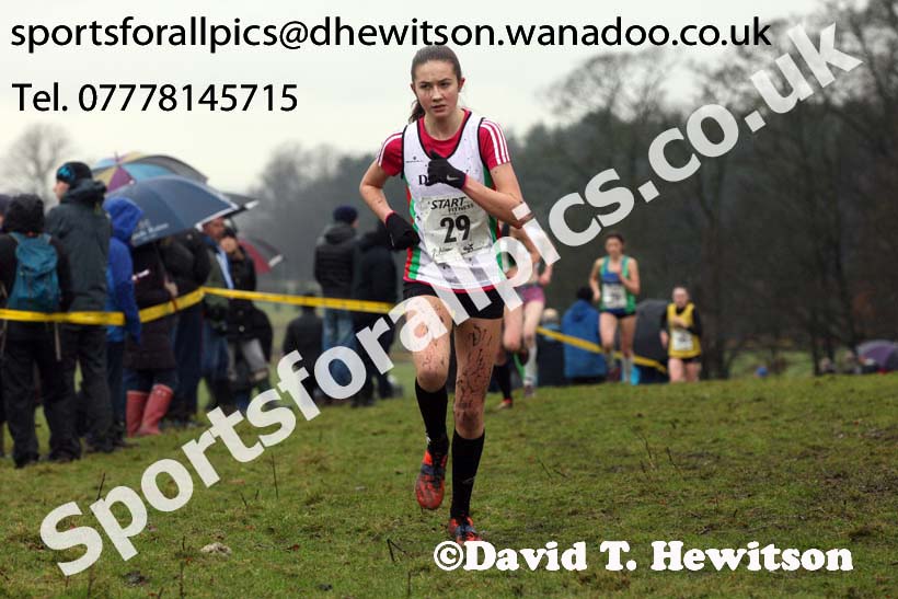Womens under-17a  Northern Cross Country, Knowsley Safari Park. Photo: David T. Hewitson/Sports for All Pics